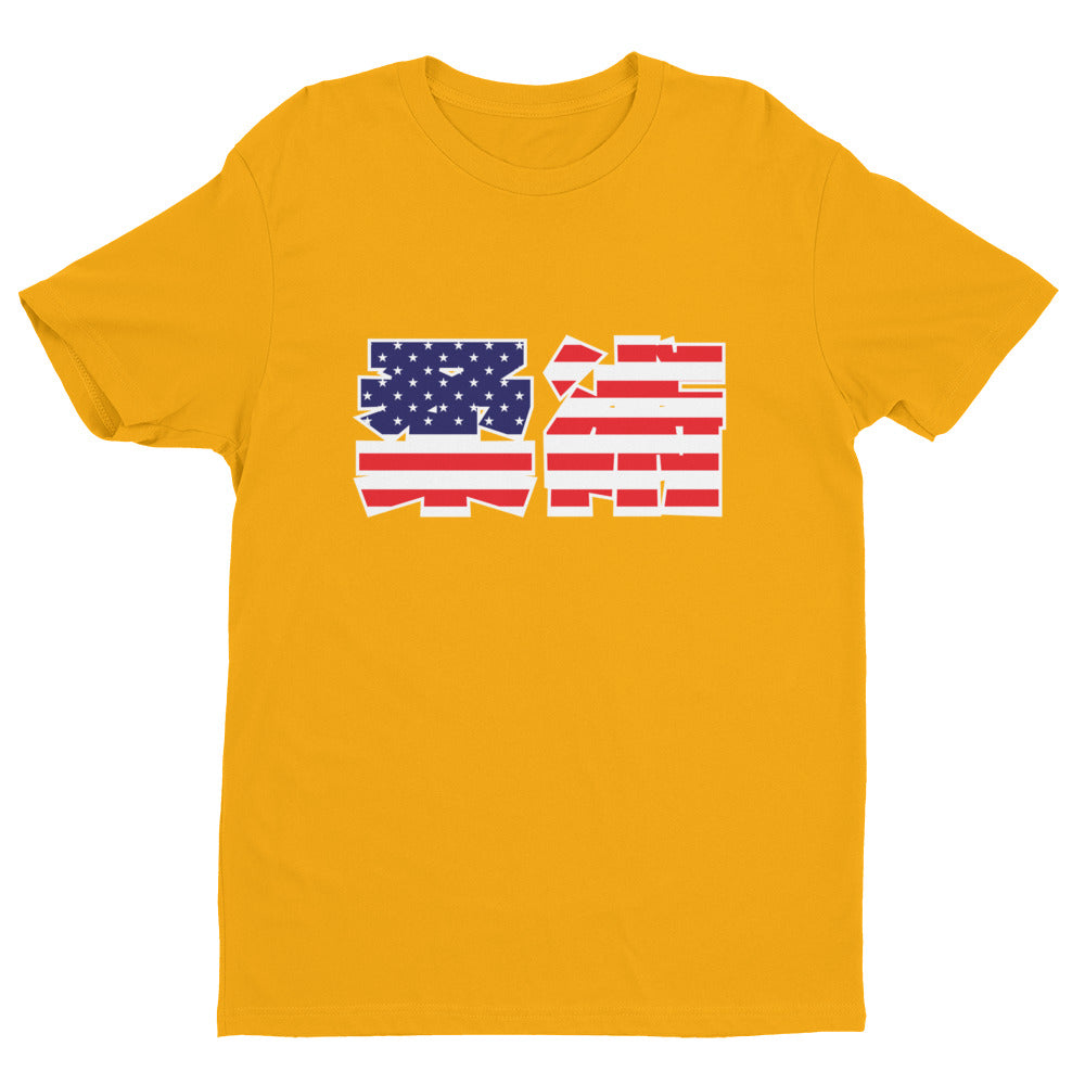 American Jiu Jitsu Short Sleeve T-shirt - NoGi USA